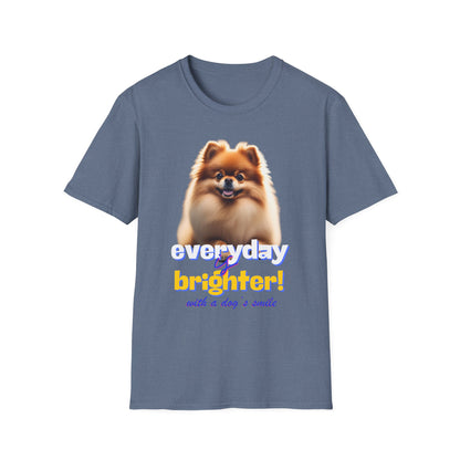 Pomeranian Everyday Is Brighter