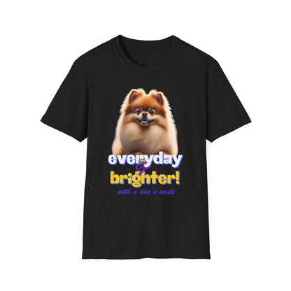 Pomeranian Everyday Is Brighter